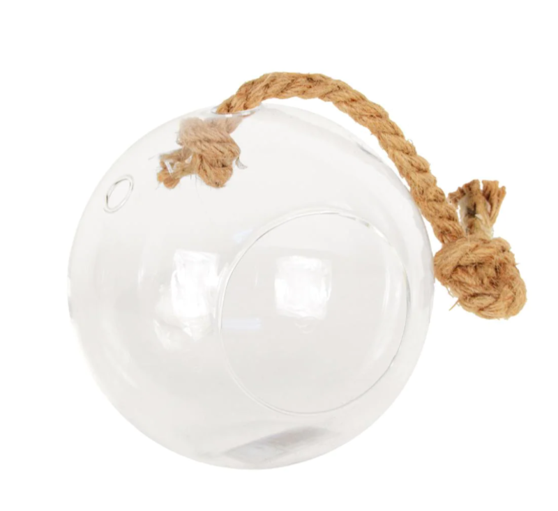 Handblown round Clear Hanging Globe Glass Ball Sphere Terrarium with Rope