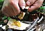 Emergency Tools Natural Fatwood Stick Camping Wood Stove Fire Starter with Burlap Carrying Bag