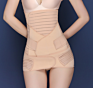 Waist Back Support Belt