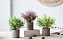 3 Pack Mini Potted Faux Greenery Artificial Plastic Eucalyptus Rosemary Plants for Home Office Desk Room Decoration