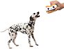 Sell Pet Toy Durable Interactive Biscuits Cooky Plush Squeaky Dog Toy for Dog