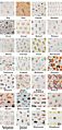 Snoozzz White Soft Baby Cotton Muslin Blanket Newborn Baby Floral Swaddles