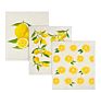 sponge dishcloth
