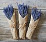 C2146 Natural Real Pressed Florals Dry Lavender Bouquet Dried Lavender Flowers for Wedding Home Decoration