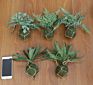 Green Artificial Plastic Fern Leaves Artificial Hanging Plant