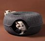 Foldable 3 Way Cat Tunnel Multifunctional Pet Mattress with Removable Cat Tunnel Bed Cat Bbed