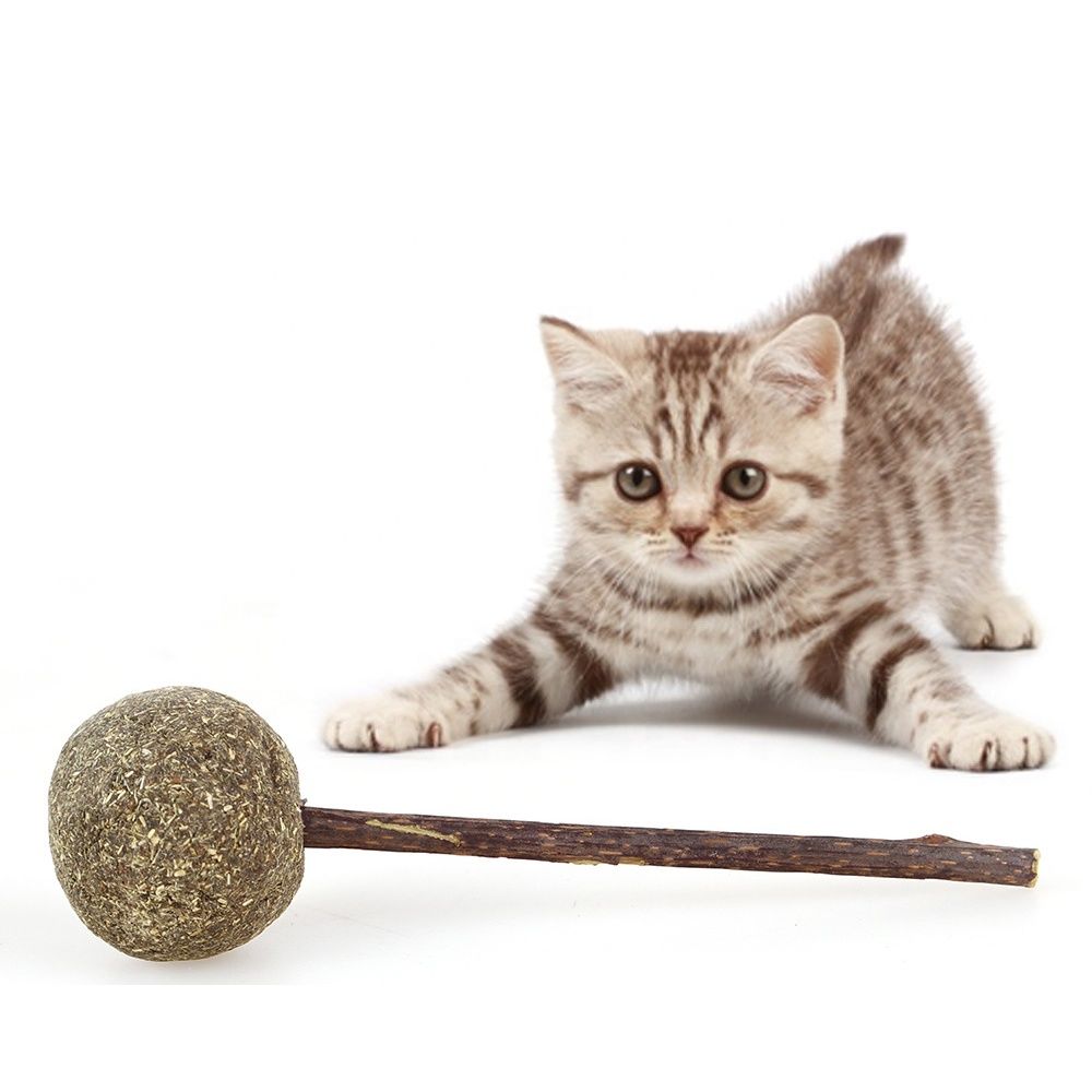 Catnip lollipop with matatabi cheap stick