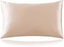 Anti Bacterial Various Colors Washable 19 Mm 100 Pure Silk Pillowcase Mulberry Silk Pillow Case with Box