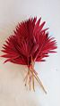Bleached Sun Palm Dried Flower Bouquet Small Palm Spear Stems Natural Preserved Palm Fan for Wedding