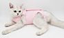 Pet Cat Neuter Spaying Sterilization Clothes Surgery Surgical Recovery Suit Anti-Licking Weaning Clothing