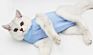 Pet Cat Neuter Spaying Sterilization Clothes Surgery Surgical Recovery Suit Anti-Licking Weaning Clothing