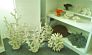 Decorative Polyresin White Coral Flowers Price For
