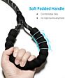 5 Ft Strong Dog Leash with Comfortable Padded Handle and Highly Reflective Threads Dog Leashes Pet Training Nylon Dog Leash