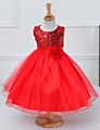 Little Girls' Sequin Mesh Tulle Dress Sleeveless Flower Party Ball Gown Girl Night Dress