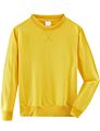 Product Wear 100% Cotton Crewneck Boys Clothing Kids Blank Sweatshirts