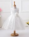 Little Girls' Sequin Mesh Tulle Dress Sleeveless Flower Party Ball Gown Girl Night Dress