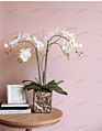 Design Artificial in Pot Uk Phalaenopsis Orchid Silk Flower