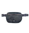 Style Pet Fanny Pack Waist Bag Convenience Dog Poop Waiat Bag for Women
