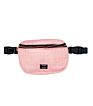 Style Pet Fanny Pack Waist Bag Convenience Dog Poop Waiat Bag for Women