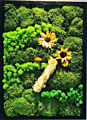 Preserved Moss