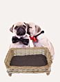 Customized Wicker& Sallow &Hand-Knitted Hand-Made Pet Bed & House&Basket Cave for Cat Dog