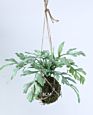 Green Artificial Plastic Fern Leaves Artificial Hanging Plant