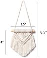 Mini Macrame Wall Hanging