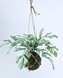 Green Artificial Plastic Fern Leaves Artificial Hanging Plant