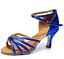 Women Ballroom Latin Dance Shoes Sasha Dance Shoes Professional 4" Heel Customized Logo Available