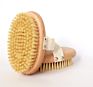 Body Brush. 100% Natural Vegan Agave Sisal Bristles for Dry Skin Brushing, Exfoliate Dead Skin, Detox, Stimulate Circulation