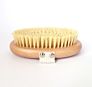 Body Brush. 100% Natural Vegan Agave Sisal Bristles for Dry Skin Brushing, Exfoliate Dead Skin, Detox, Stimulate Circulation