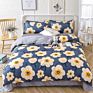 Luxury Printed Pillow Case Bed Sheet and Quilting Comforter Sets Quilt Bedding 4 Piece