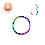 316L Surgical Steel Septum Nose Piercing Helix Cartilage Rook Hoop Earring Hinged Clicker Segment Nose Ring Body Jewelry