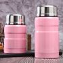 500Ml Double Wall Food Flask Stainless Steel Vacuum Thermos Vacuum Insulated Thermo Food Jar