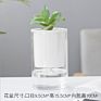 Arrivals Self Watering Pot Planter Pot Self Watering Plant Pots For