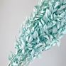 Artificial Green Ruscus Dried Flower Italian Ruscus Greenery Garland Ruscus Leaves for Decor