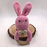 Baby Teether Crochet Toys