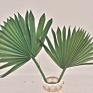 Bleached Sun Palm Dried Flower Bouquet Small Palm Spear Stems Natural Preserved Palm Fan for Wedding