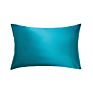 Chinese Pure Pillowcase Silk Pillowcase 100% Silk Satin Pillowcase Luxury Silk Pillow