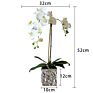 Design Artificial in Pot Uk Phalaenopsis Orchid Silk Flower