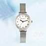 Diamond Quartz Beautifully Decorated Gold Watches Waterproof Women Wrist Luxury Thin Strap Watch