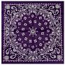 Fanni 22X22 Inches Paisley Bandana Headband Multifunction Cotton Square Face Covering Bandana Handkerchief Scarfs