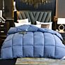 Fast Delivery in Stock Hypoallergenic Quilted Warm down Alternative Comforter