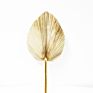 Flora Sell Dried Flower Dried Palm Leaves for Wedding Decoration