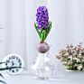 Flower Bulbs Nature Plant Hyacinth Flowers Seed Planting for Selling&Decoration