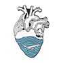 Funny Cartoon White Organ Heart Enamel Brooch Lapel Pin Collar Shirt Badges Love Rose Brooch Pins