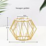 Grace Glass Vase Modern Hydroponic Iron Line Flower Glass and Gold Vases Plant Holder Home Decor Vase Crystal Glass