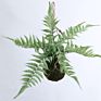 Green Artificial Plastic Fern Leaves Artificial Hanging Plant