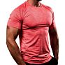 Gym Clothing T-Shirt Mens Tops Bodybuilding Fitness Muscle Showing Compressed Tight Fit Design Gym Wear Men's Shirts
