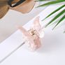 Hairpin Cellulose Acetate Hairpin Butterfly Hair Claw anti Skid Hair Accessories